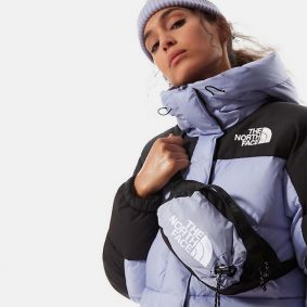 Ľadvinka zo syntetických materiálov Vyobrazenie Ľadvinka zo syntetických materiálov